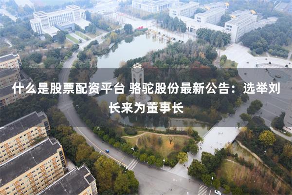 什么是股票配资平台 骆驼股份最新公告：选举刘长来为董事长