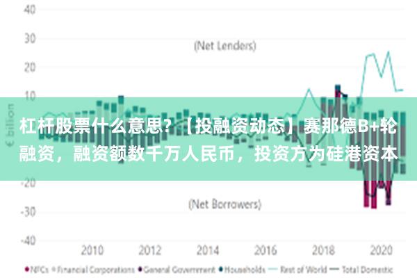 杠杆股票什么意思? 【投融资动态】赛那德B+轮融资，融资额数千万人民币，投资方为硅港资本