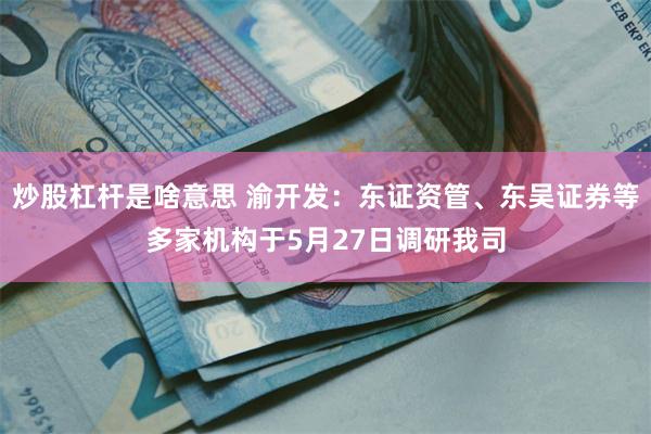 炒股杠杆是啥意思 渝开发：东证资管、东吴证券等多家机构于5月27日调研我司
