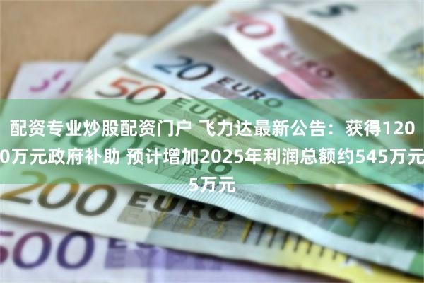 配资专业炒股配资门户 飞力达最新公告：获得1200万元政府补助 预计增加2025年利润总额约545万元