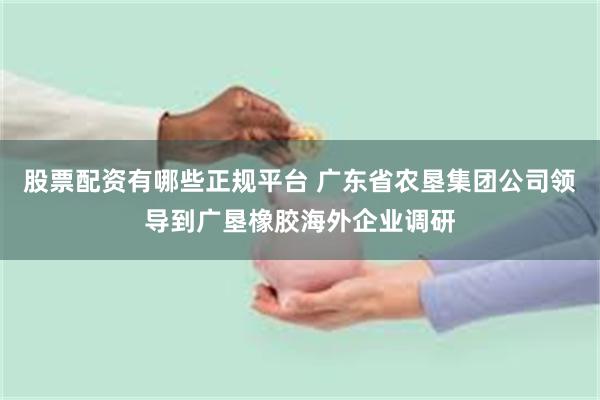 股票配资有哪些正规平台 广东省农垦集团公司领导到广垦橡胶海外企业调研