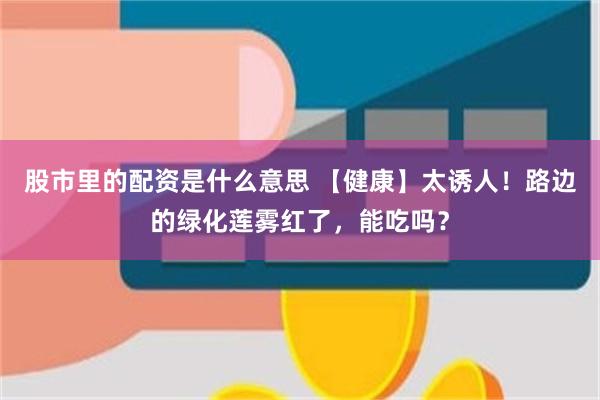 股市里的配资是什么意思 【健康】太诱人！路边的绿化莲雾红了，能吃吗？