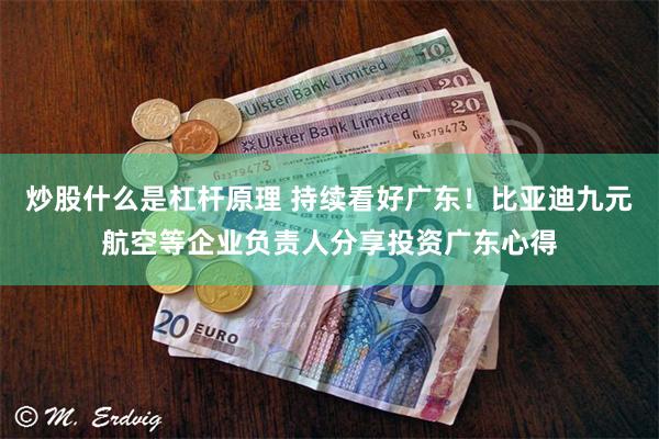 炒股什么是杠杆原理 持续看好广东！比亚迪九元航空等企业负责人分享投资广东心得