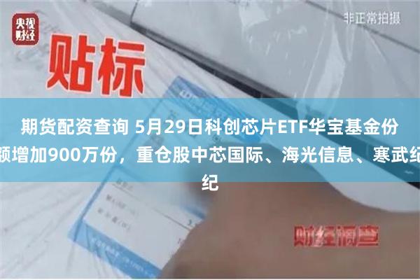 期货配资查询 5月29日科创芯片ETF华宝基金份额增加900万份，重仓股中芯国际、海光信息、寒武纪