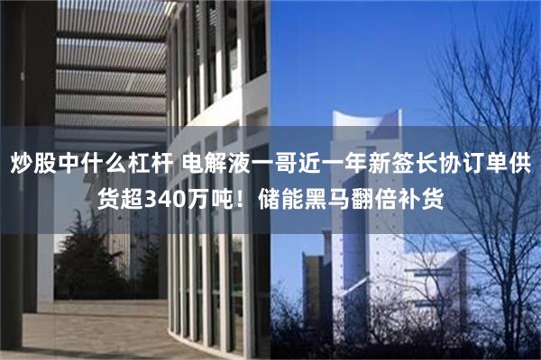 炒股中什么杠杆 电解液一哥近一年新签长协订单供货超340万吨！储能黑马翻倍补货