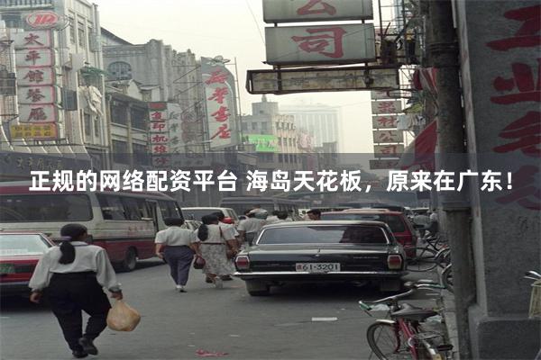 正规的网络配资平台 海岛天花板，原来在广东！