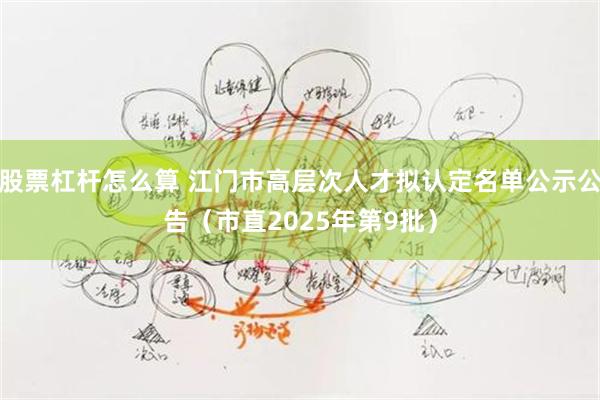 股票杠杆怎么算 江门市高层次人才拟认定名单公示公告（市直2025年第9批）