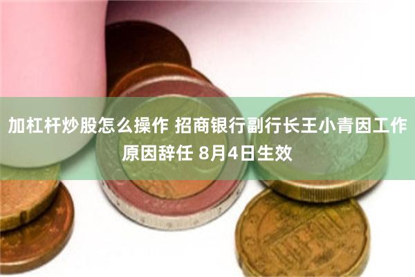 加杠杆炒股怎么操作 招商银行副行长王小青因工作原因辞任 8月4日生效