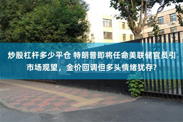 炒股杠杆多少平仓 特朗普即将任命美联储官员引市场观望，金价回调但多头情绪犹存?