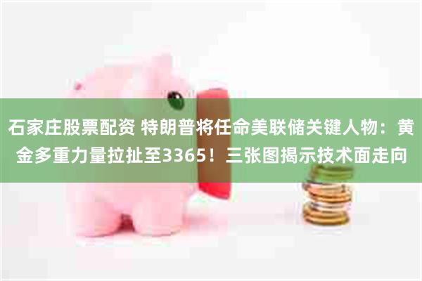 石家庄股票配资 特朗普将任命美联储关键人物：黄金多重力量拉扯至3365！三张图揭示技术面走向