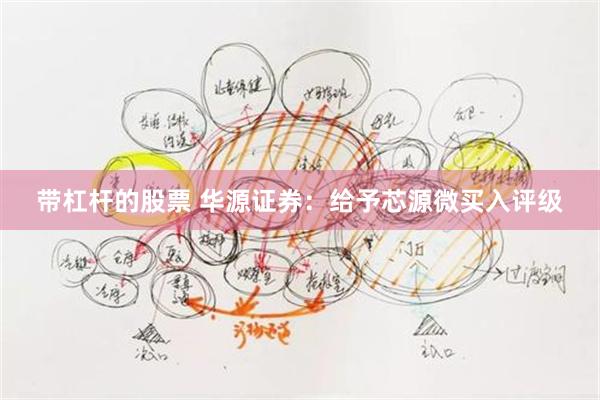 带杠杆的股票 华源证券：给予芯源微买入评级
