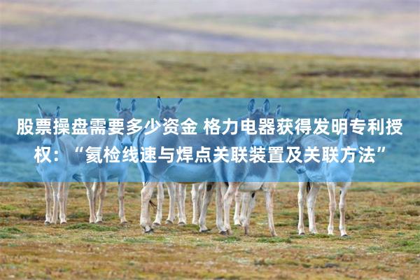 股票操盘需要多少资金 格力电器获得发明专利授权：“氦检线速与焊点关联装置及关联方法”