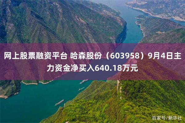 网上股票融资平台 哈森股份（603958）9月4日主力资金净买入640.18万元