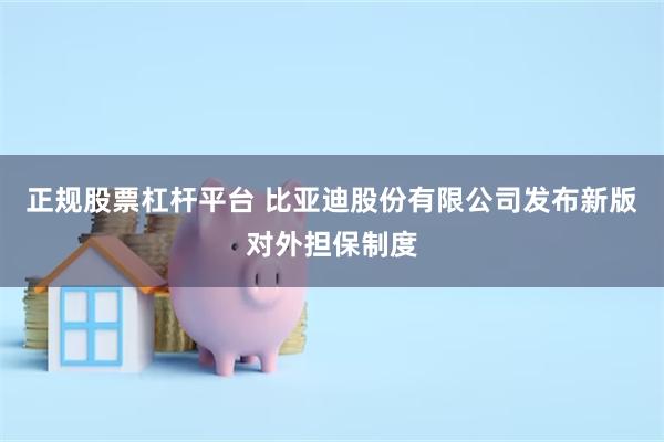 正规股票杠杆平台 比亚迪股份有限公司发布新版对外担保制度