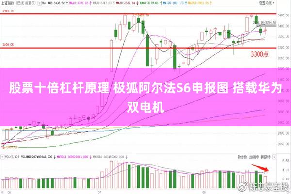 股票十倍杠杆原理 极狐阿尔法S6申报图 搭载华为双电机