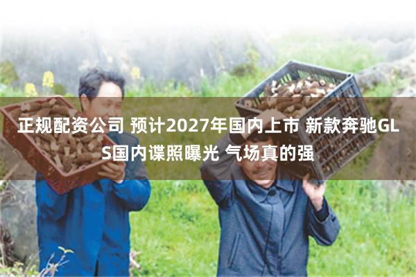 正规配资公司 预计2027年国内上市 新款奔驰GLS国内谍照曝光 气场真的强