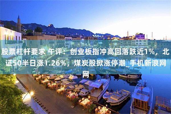股票杠杆要求 午评：创业板指冲高回落跌近1%，北证50半日涨1.26%，煤炭股掀涨停潮_手机新浪网