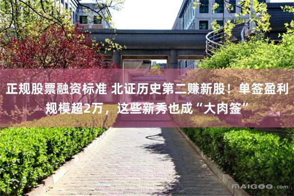 正规股票融资标准 北证历史第二赚新股！单签盈利规模超2万，这些新秀也成“大肉签”