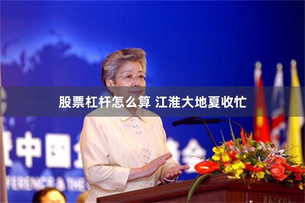 股票杠杆怎么算 江淮大地夏收忙