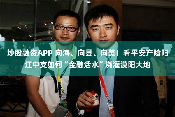 炒股融资APP 向海、向县、向美！看平安产险阳江中支如何“金融活水”浇灌漠阳大地