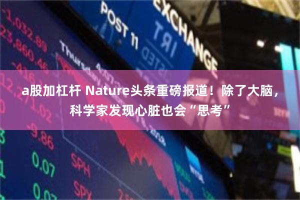 a股加杠杆 Nature头条重磅报道！除了大脑，科学家发现心脏也会“思考”