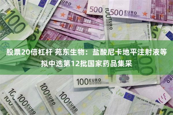 股票20倍杠杆 苑东生物：盐酸尼卡地平注射液等拟中选第12批国家药品集采