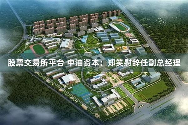 股票交易所平台 中油资本：郑笑慰辞任副总经理