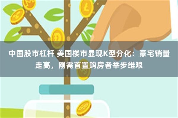 中国股市杠杆 美国楼市显现K型分化：豪宅销量走高，刚需首置购房者举步维艰