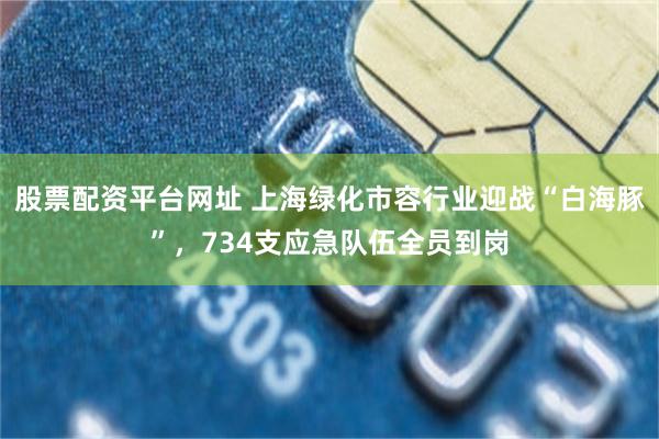 股票配资平台网址 上海绿化市容行业迎战“白海豚”，734支应急队伍全员到岗