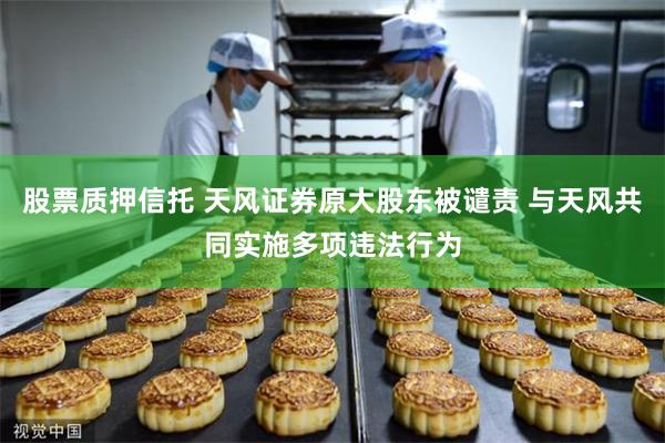 股票质押信托 天风证券原大股东被谴责 与天风共同实施多项违法行为