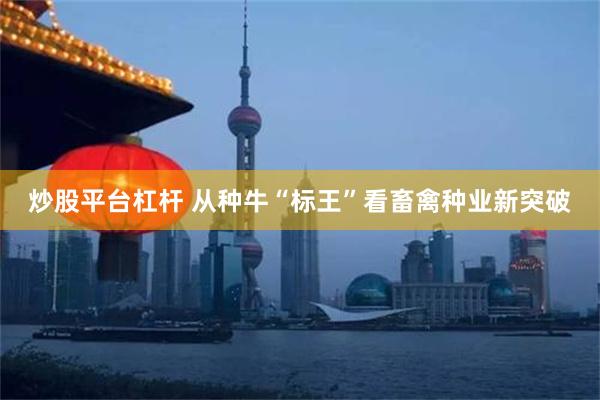 炒股平台杠杆 从种牛“标王”看畜禽种业新突破