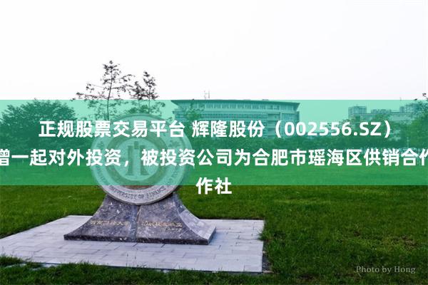 正规股票交易平台 辉隆股份（002556.SZ）新增一起对外投资，被投资公司为合肥市瑶海区供销合作社
