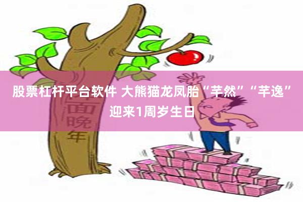 股票杠杆平台软件 大熊猫龙凤胎“芊然”“芊逸”迎来1周岁生日