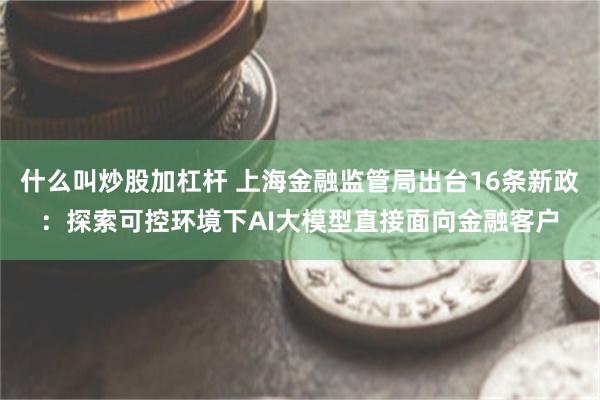 什么叫炒股加杠杆 上海金融监管局出台16条新政：探索可控环境下AI大模型直接面向金融客户
