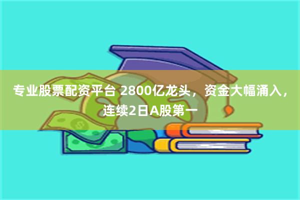 专业股票配资平台 2800亿龙头，资金大幅涌入，连续2日A股第一