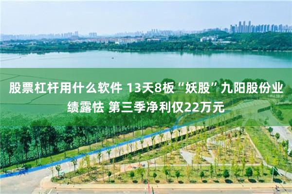 股票杠杆用什么软件 13天8板“妖股”九阳股份业绩露怯 第三季净利仅22万元