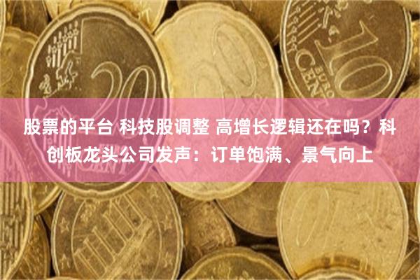 股票的平台 科技股调整 高增长逻辑还在吗？科创板龙头公司发声：订单饱满、景气向上